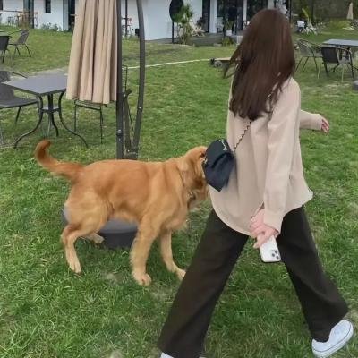 乐高史酷比:好莱坞闹鬼记